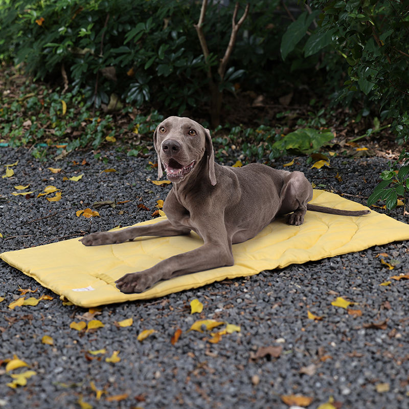 Taşınabilir Pet Mat katlanabil - Outdoor Camping Rugs incelemesi ve fiyatı