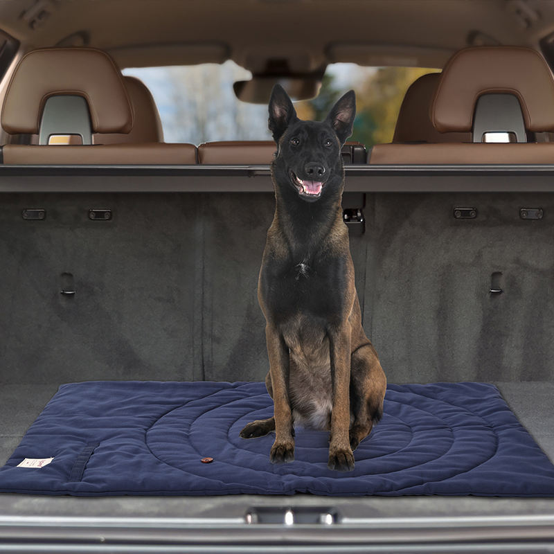 Taşınabilir Pet Mat katlanabil - Outdoor Camping Rugs incelemesi ve fiyatı